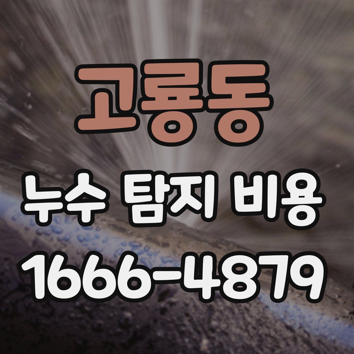 고룡동 누수 탐지 비용