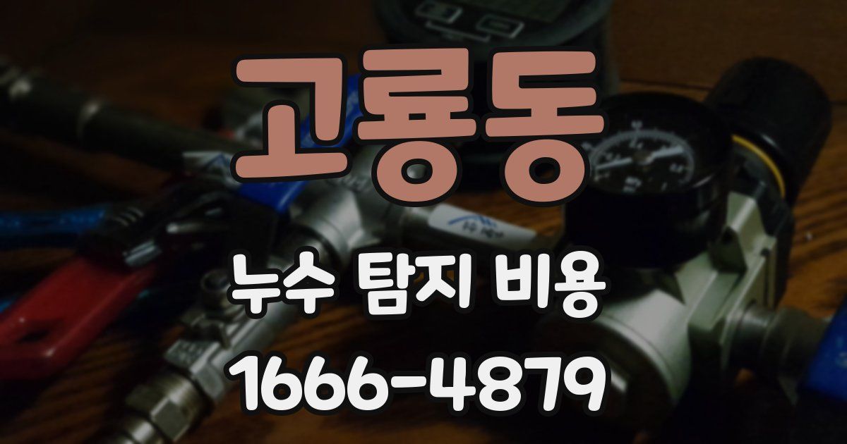 고룡동 누수 탐지 비용
