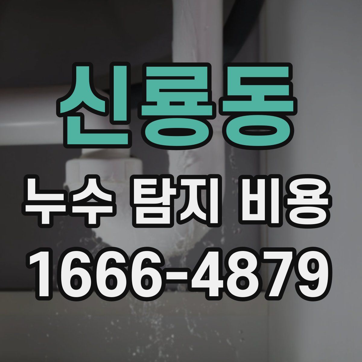 신룡동 누수 탐지 비용