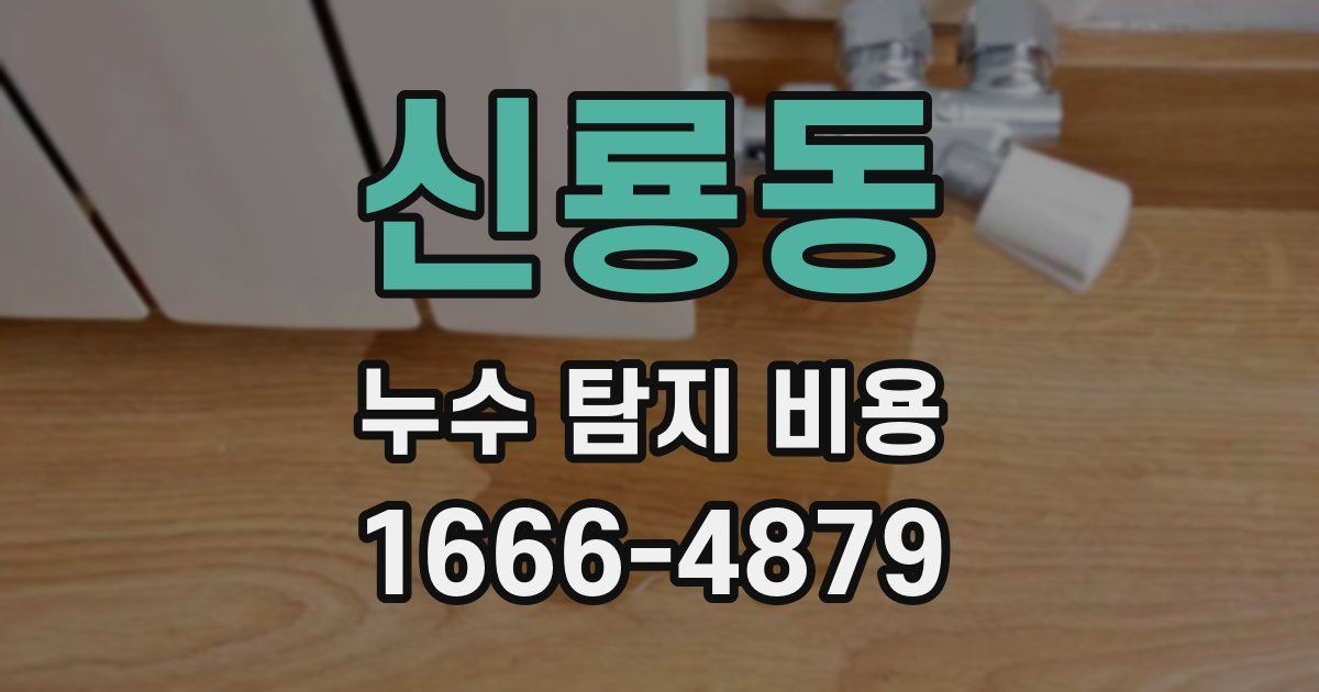 신룡동 누수 탐지 비용