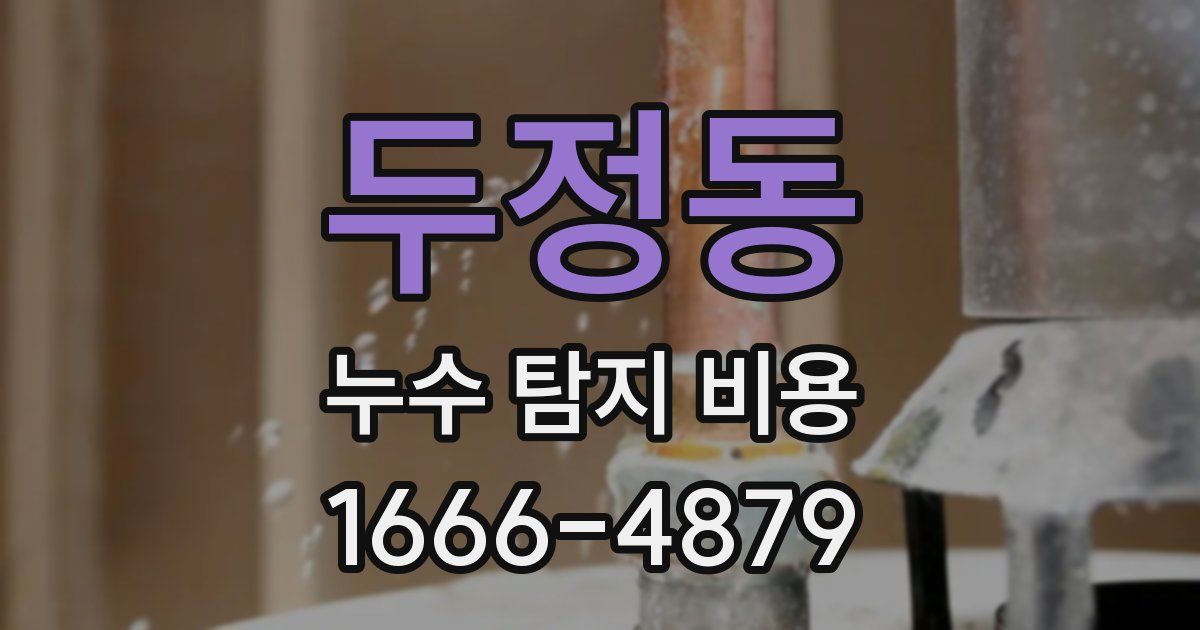 두정동 누수 탐지 비용