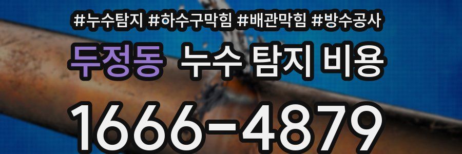 두정동 누수 탐지 비용