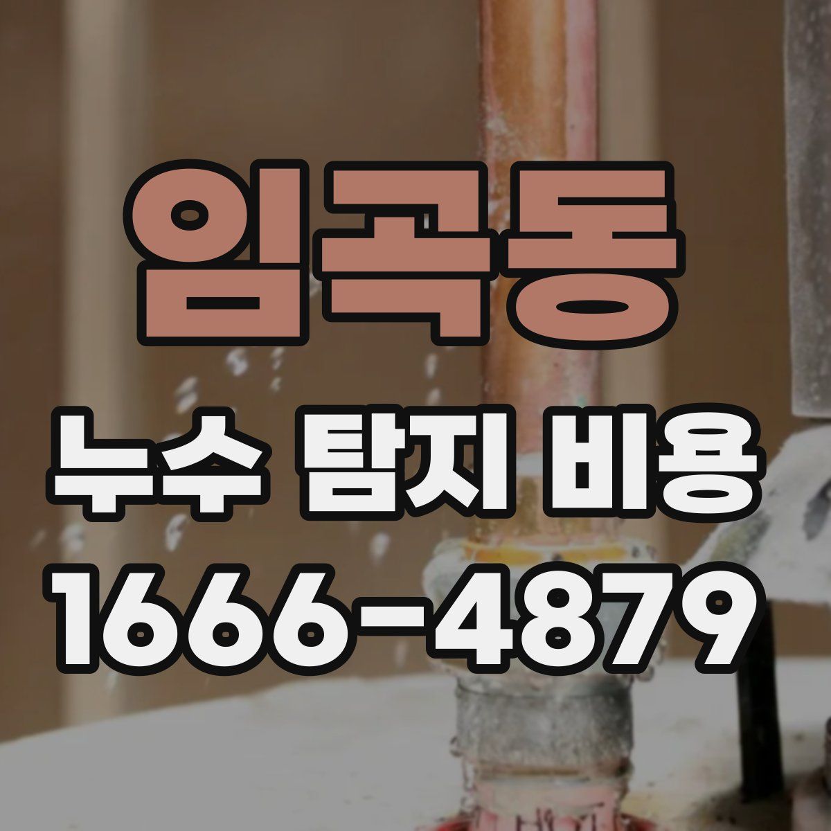 임곡동 누수 탐지 비용
