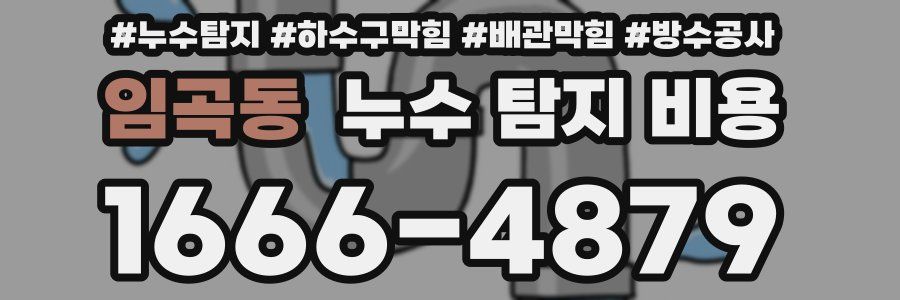 임곡동 누수 탐지 비용