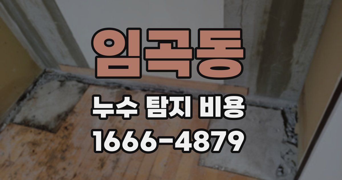 임곡동 누수 탐지 비용