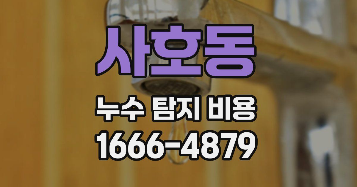 사호동 누수 탐지 비용
