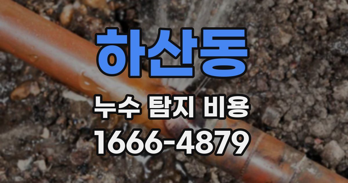 하산동 누수 탐지 비용