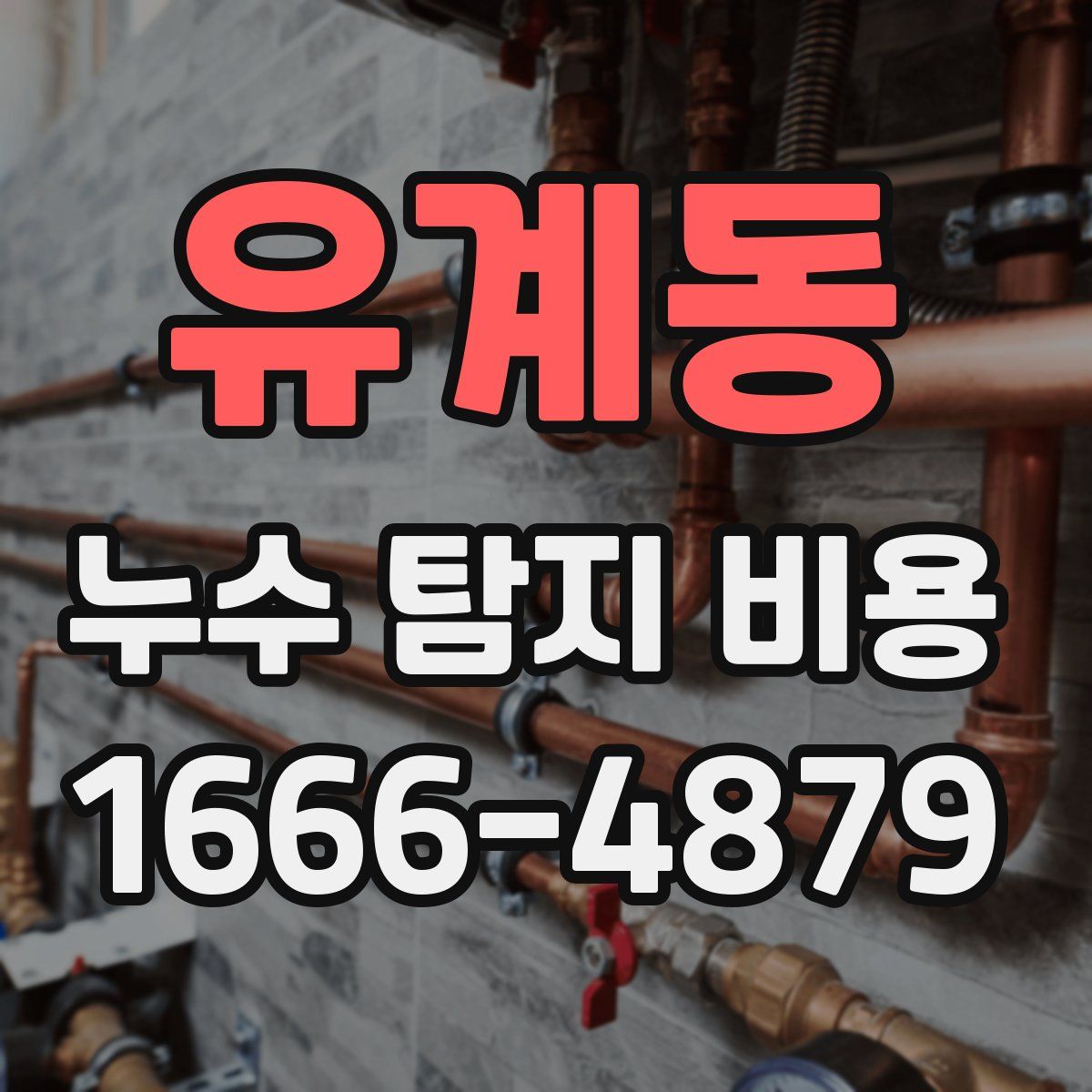 유계동 누수 탐지 비용