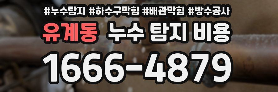 유계동 누수 탐지 비용