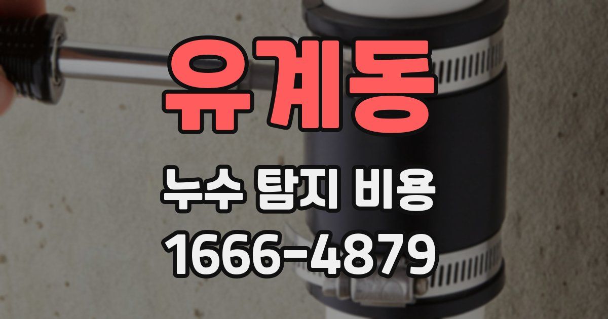 유계동 누수 탐지 비용