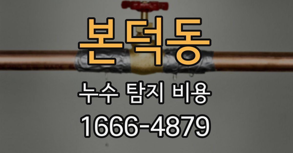 본덕동 누수 탐지 비용