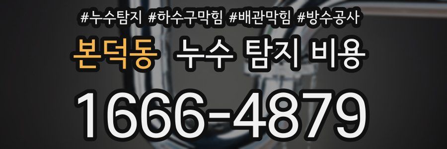 본덕동 누수 탐지 비용