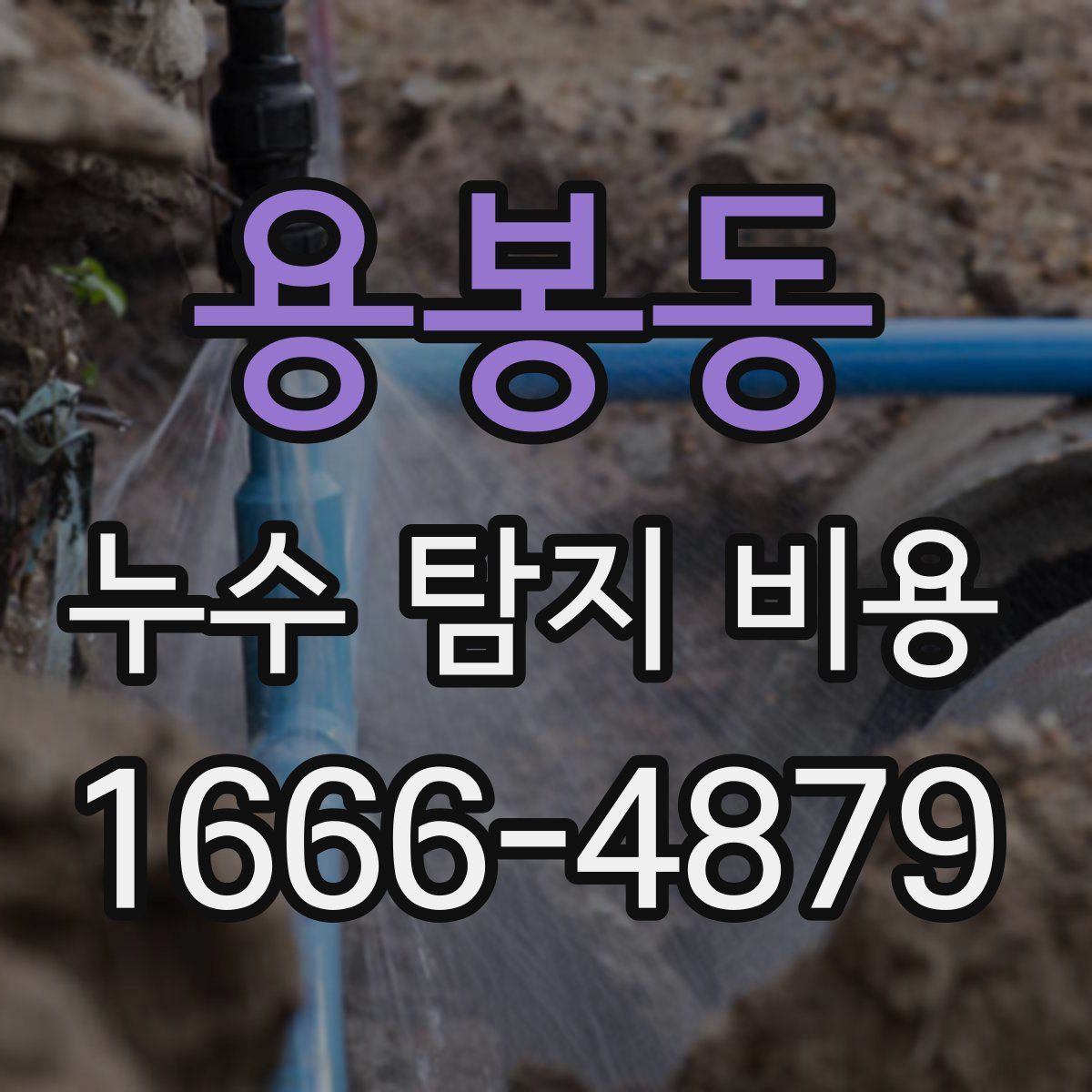 용봉동 누수 탐지 비용