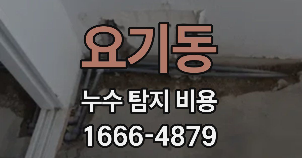 요기동 누수 탐지 비용