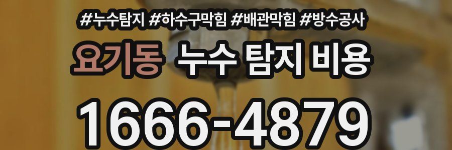 요기동 누수 탐지 비용