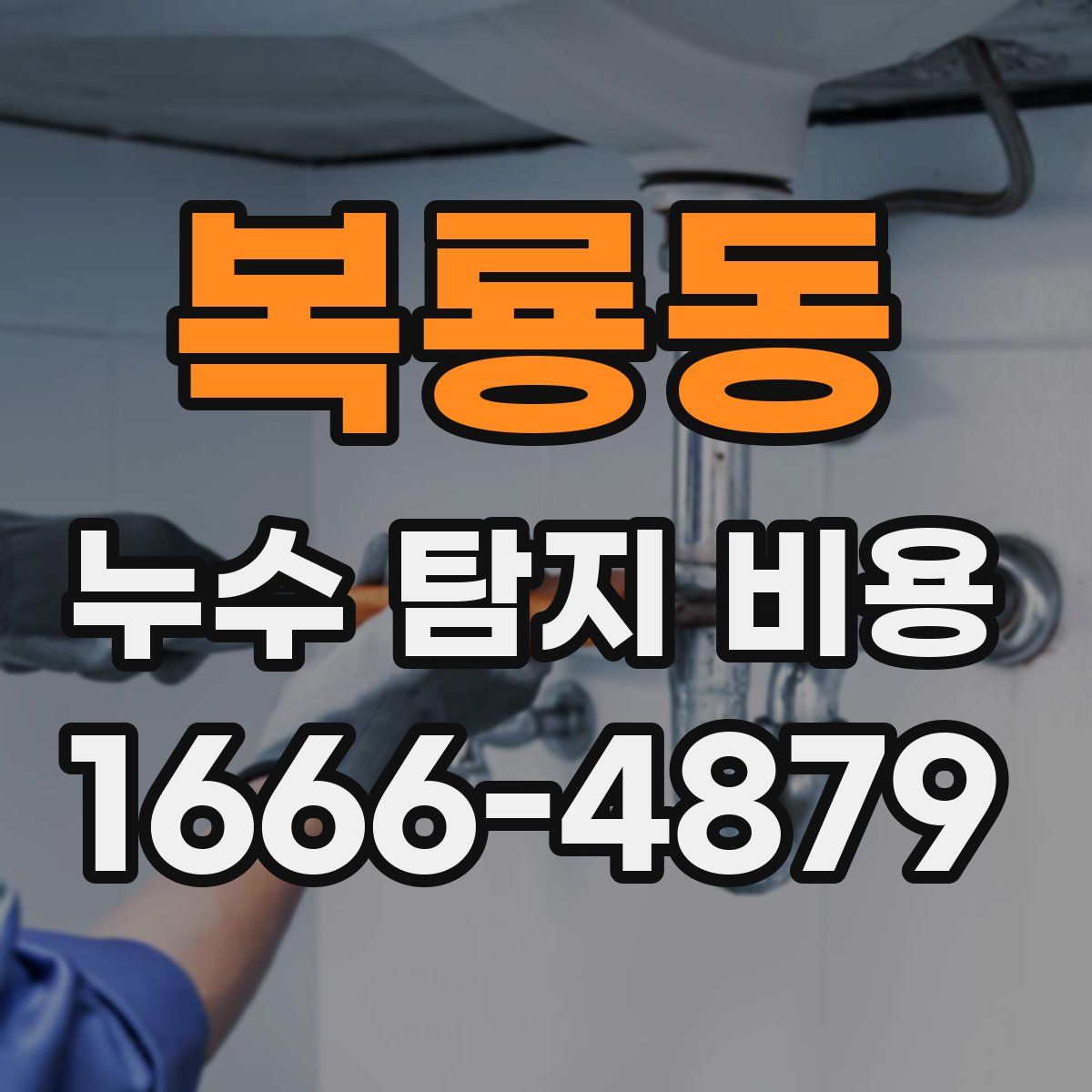 복룡동 누수 탐지 비용