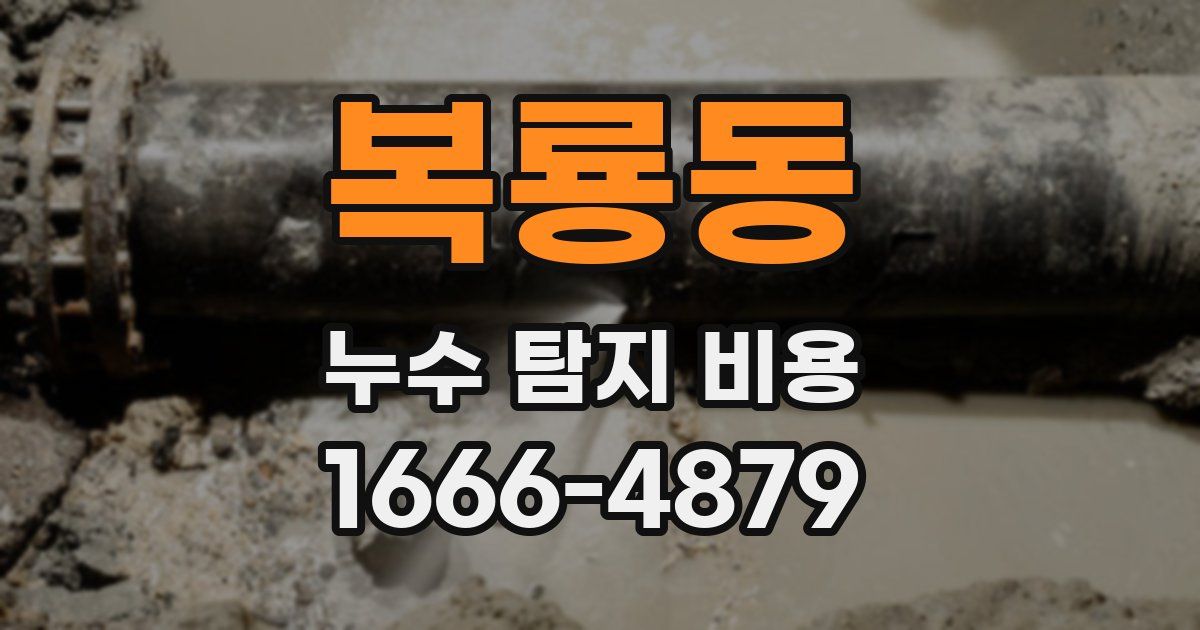 복룡동 누수 탐지 비용