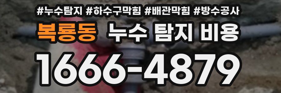 복룡동 누수 탐지 비용