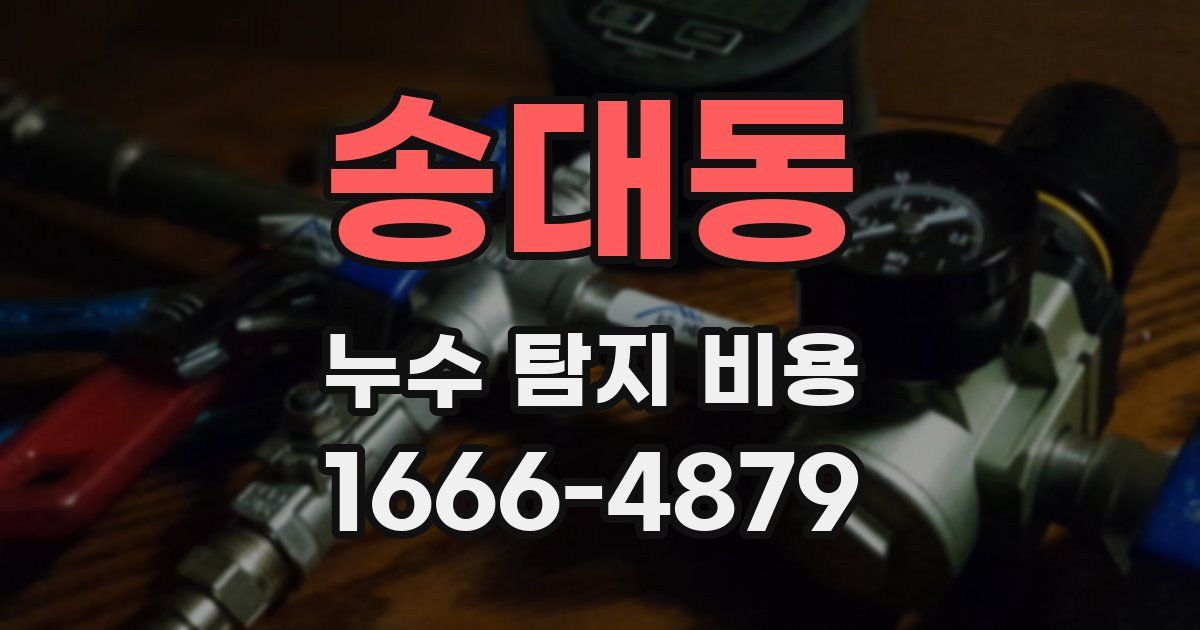 송대동 누수 탐지 비용