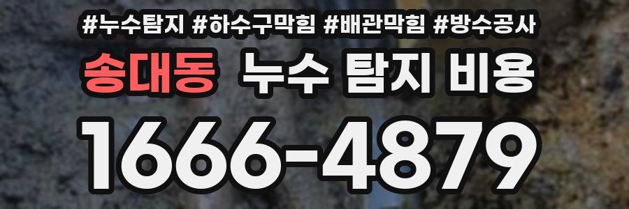 송대동 누수 탐지 비용