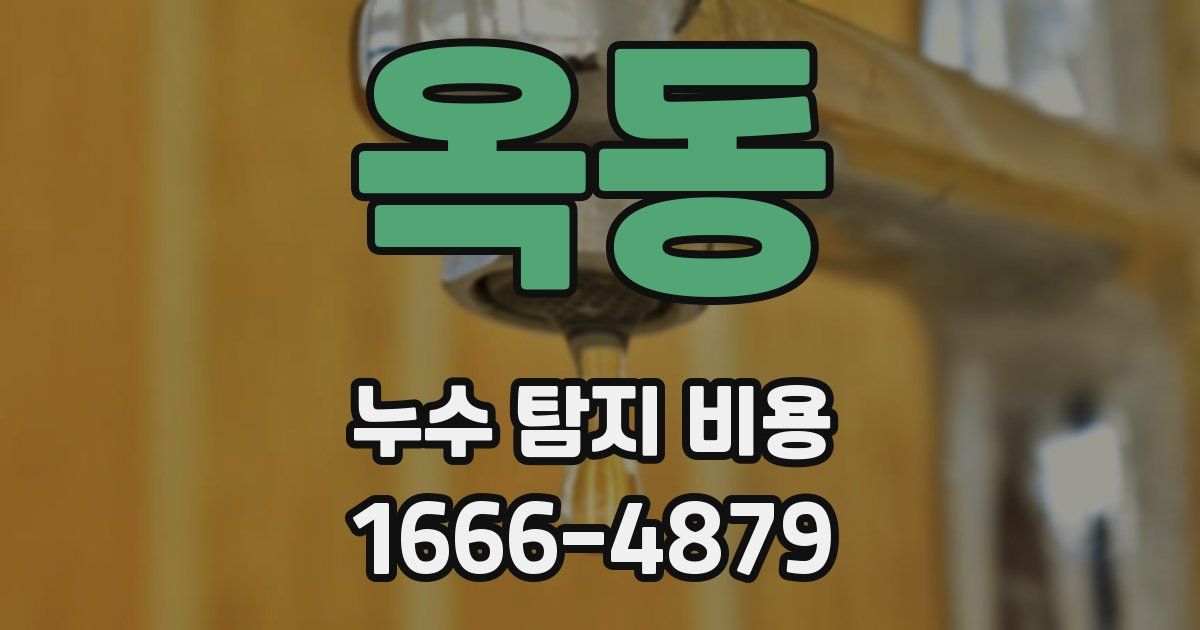 옥동 누수 탐지 비용