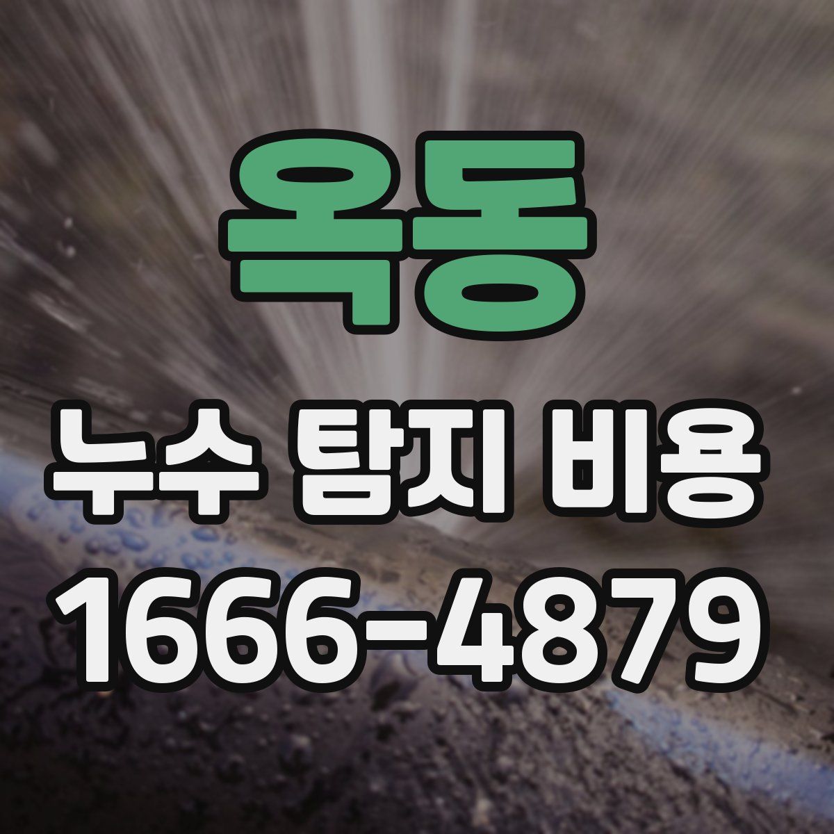옥동 누수 탐지 비용