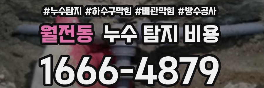 월전동 누수 탐지 비용