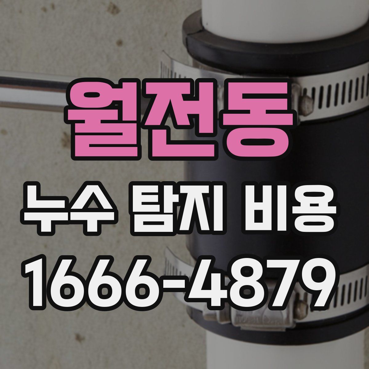 월전동 누수 탐지 비용
