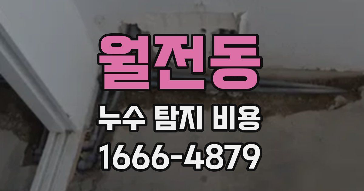 월전동 누수 탐지 비용