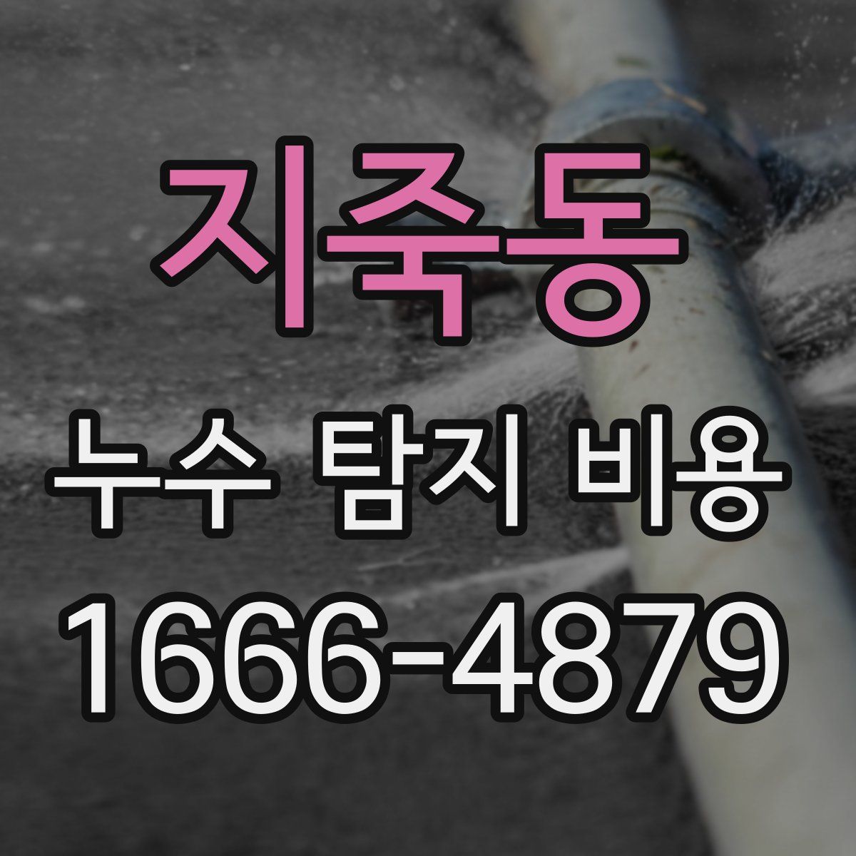 지죽동 누수 탐지 비용