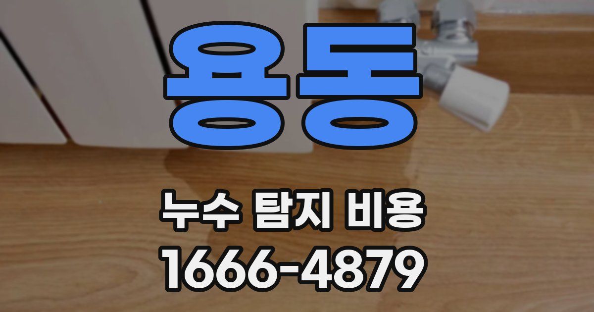 용동 누수 탐지 비용