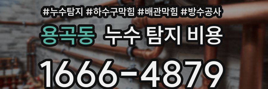 용곡동 누수 탐지 비용