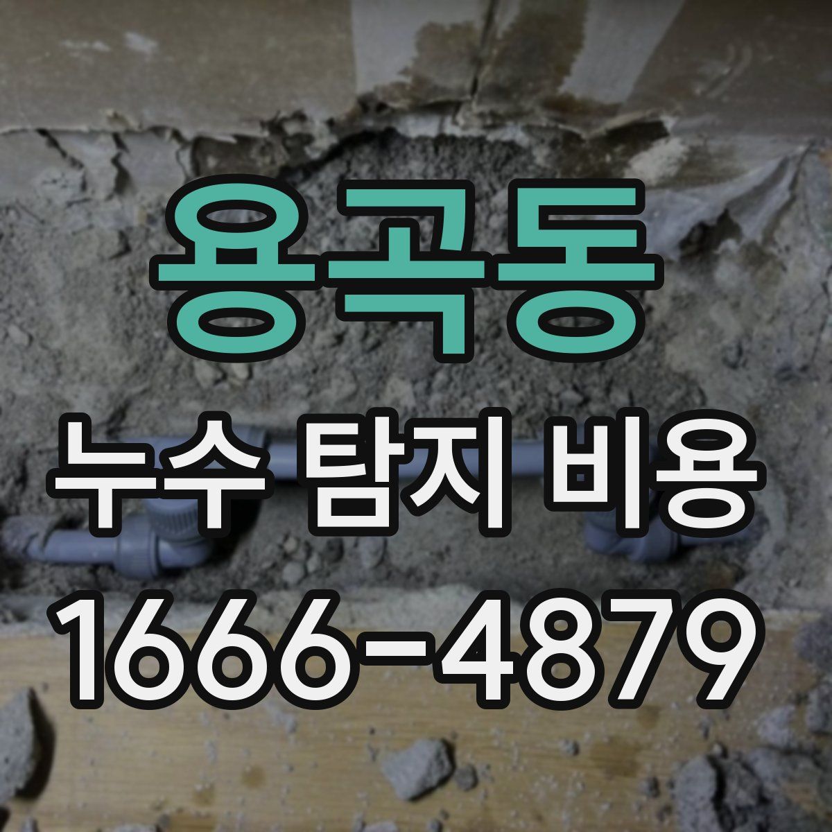 용곡동 누수 탐지 비용