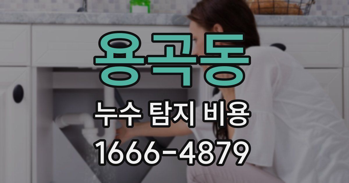 용곡동 누수 탐지 비용
