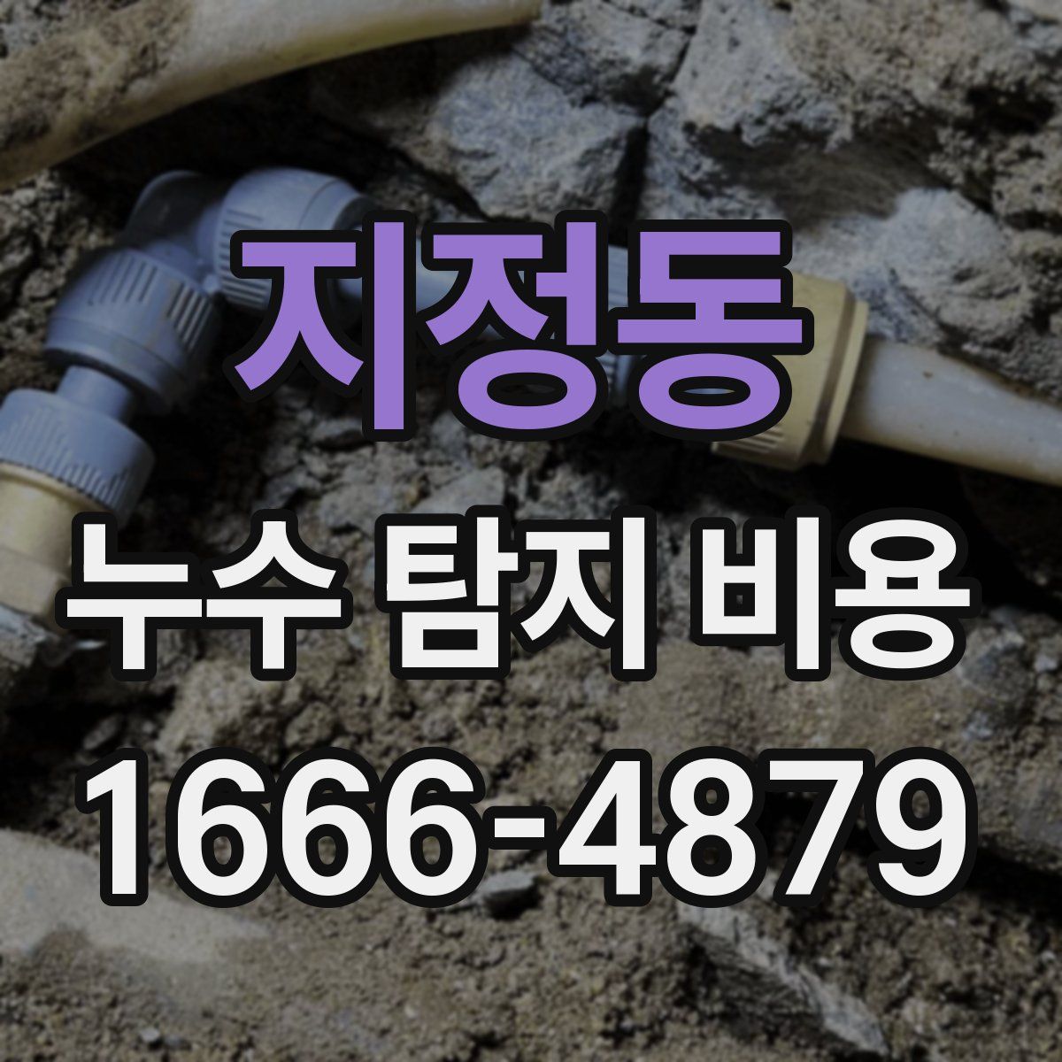지정동 누수 탐지 비용