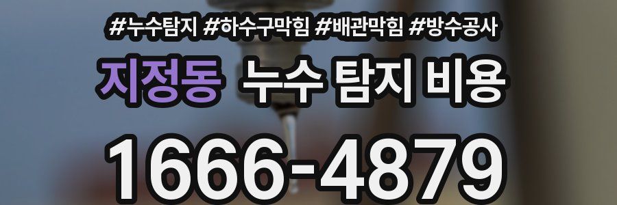 지정동 누수 탐지 비용