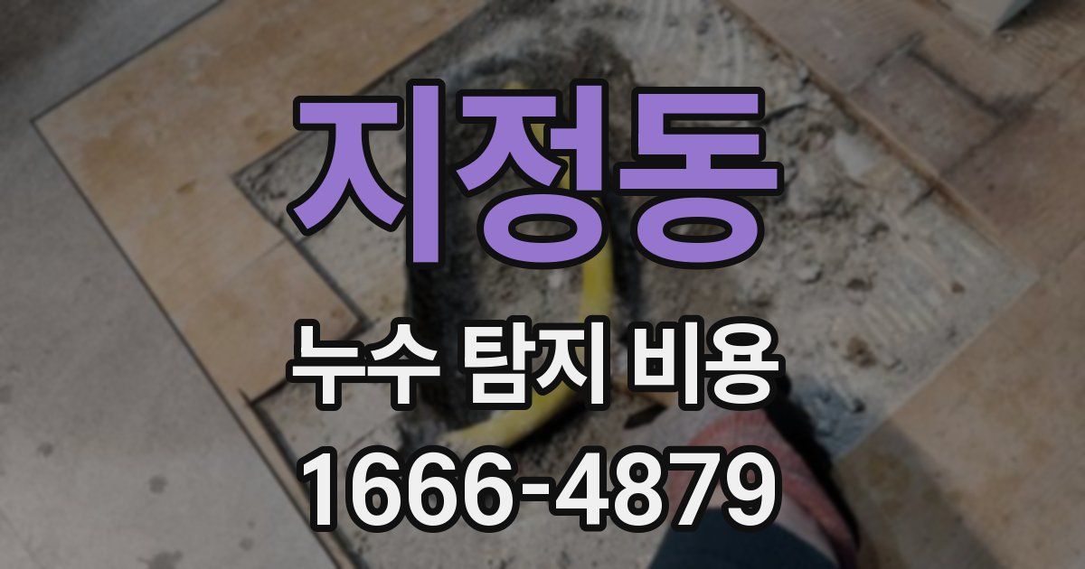 지정동 누수 탐지 비용