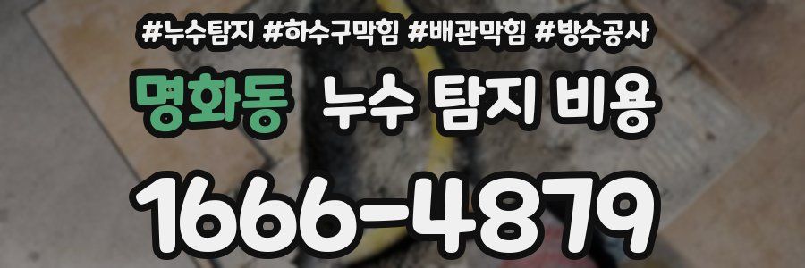 명화동 누수 탐지 비용