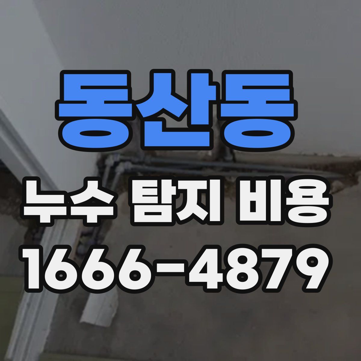 동산동 누수 탐지 비용