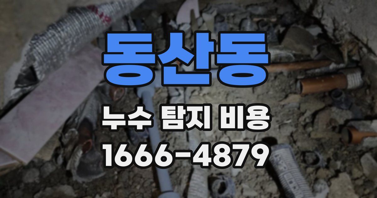 동산동 누수 탐지 비용