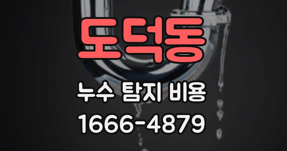 도덕동 누수 탐지 비용