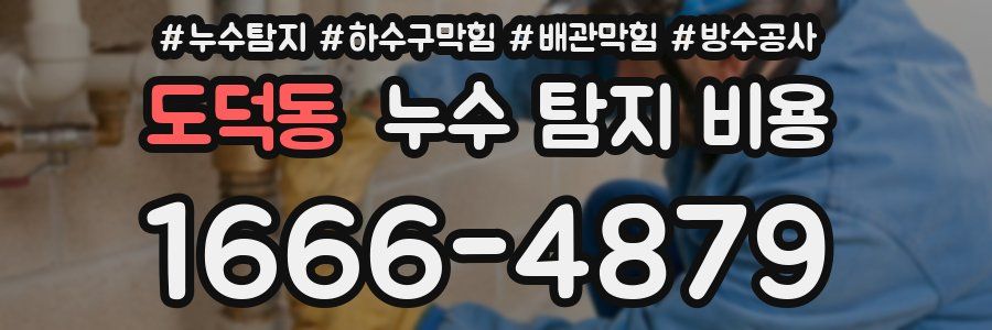 도덕동 누수 탐지 비용