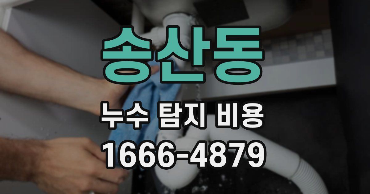 송산동 누수 탐지 비용