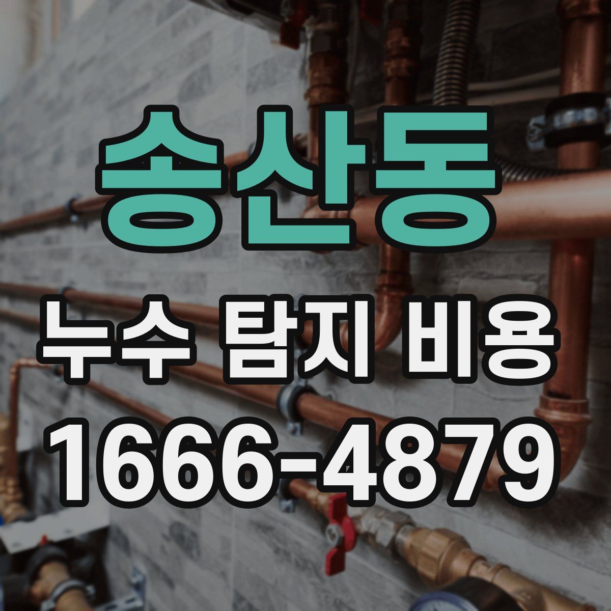 송산동 누수 탐지 비용