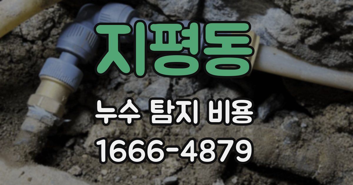 지평동 누수 탐지 비용