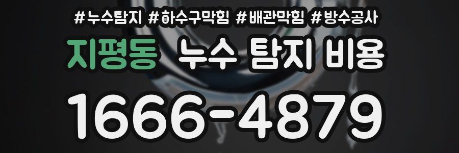 지평동 누수 탐지 비용