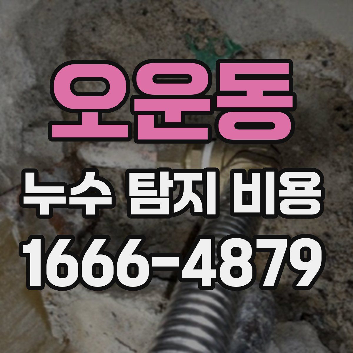 오운동 누수 탐지 비용