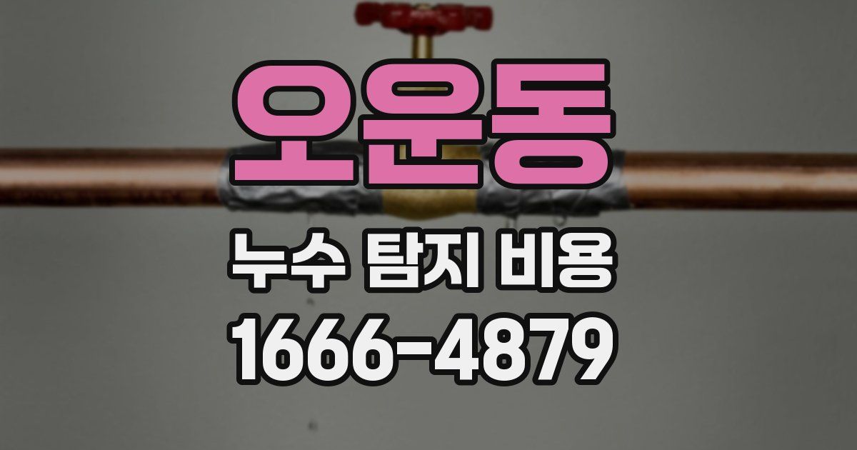 오운동 누수 탐지 비용