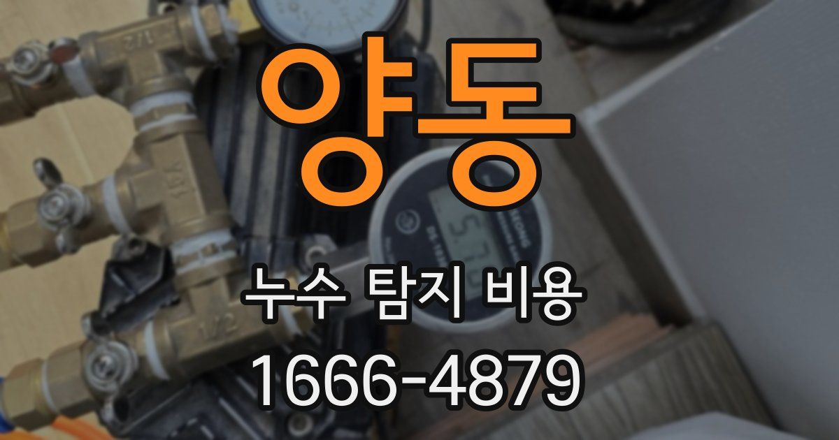 양동 누수 탐지 비용