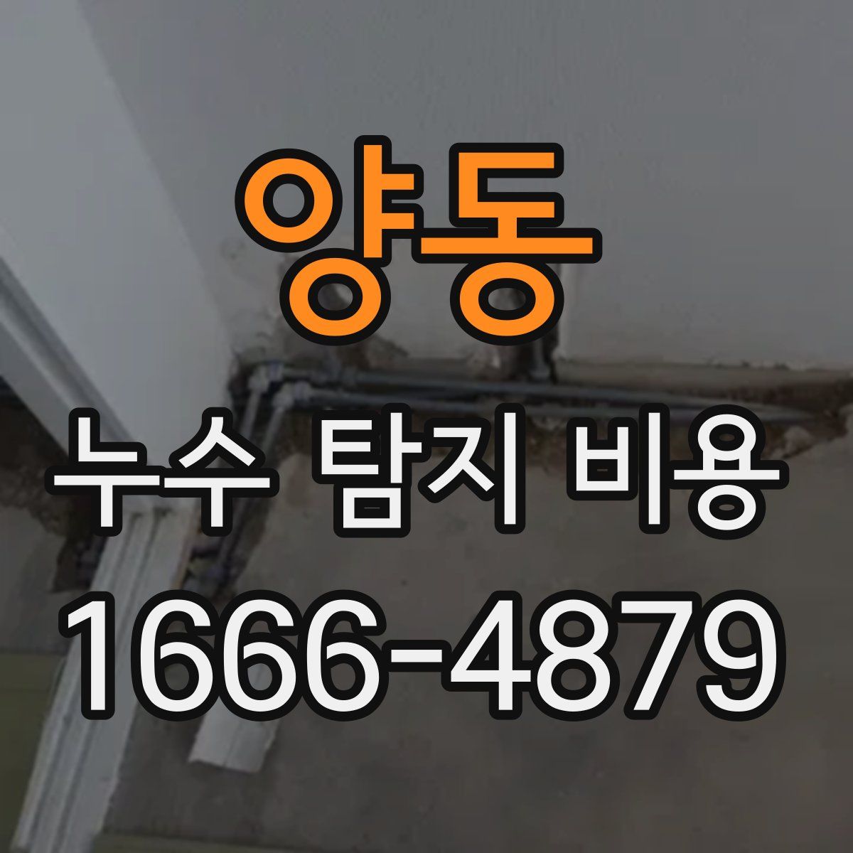 양동 누수 탐지 비용